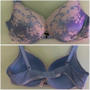 Elegant Lace Women's Bra in Blue and Cream